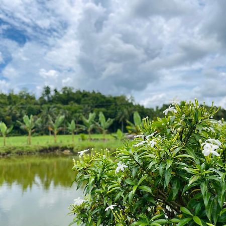 Jazz Ferme Inn Batuan Bohol Eksteriør billede