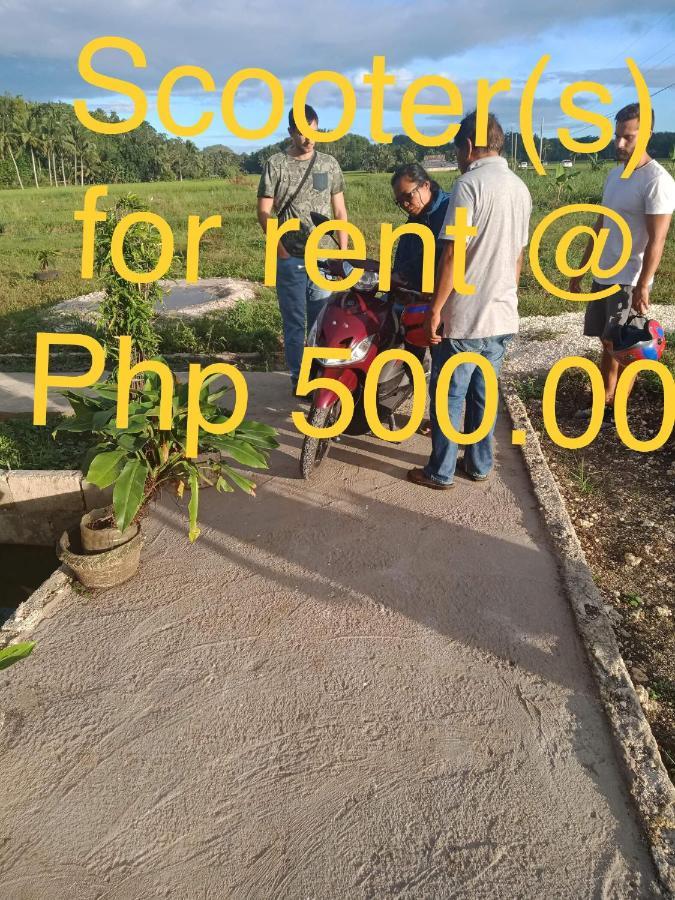 Jazz Ferme Inn Batuan Bohol Eksteriør billede