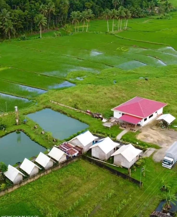 Jazz Ferme Inn Batuan Bohol Eksteriør billede