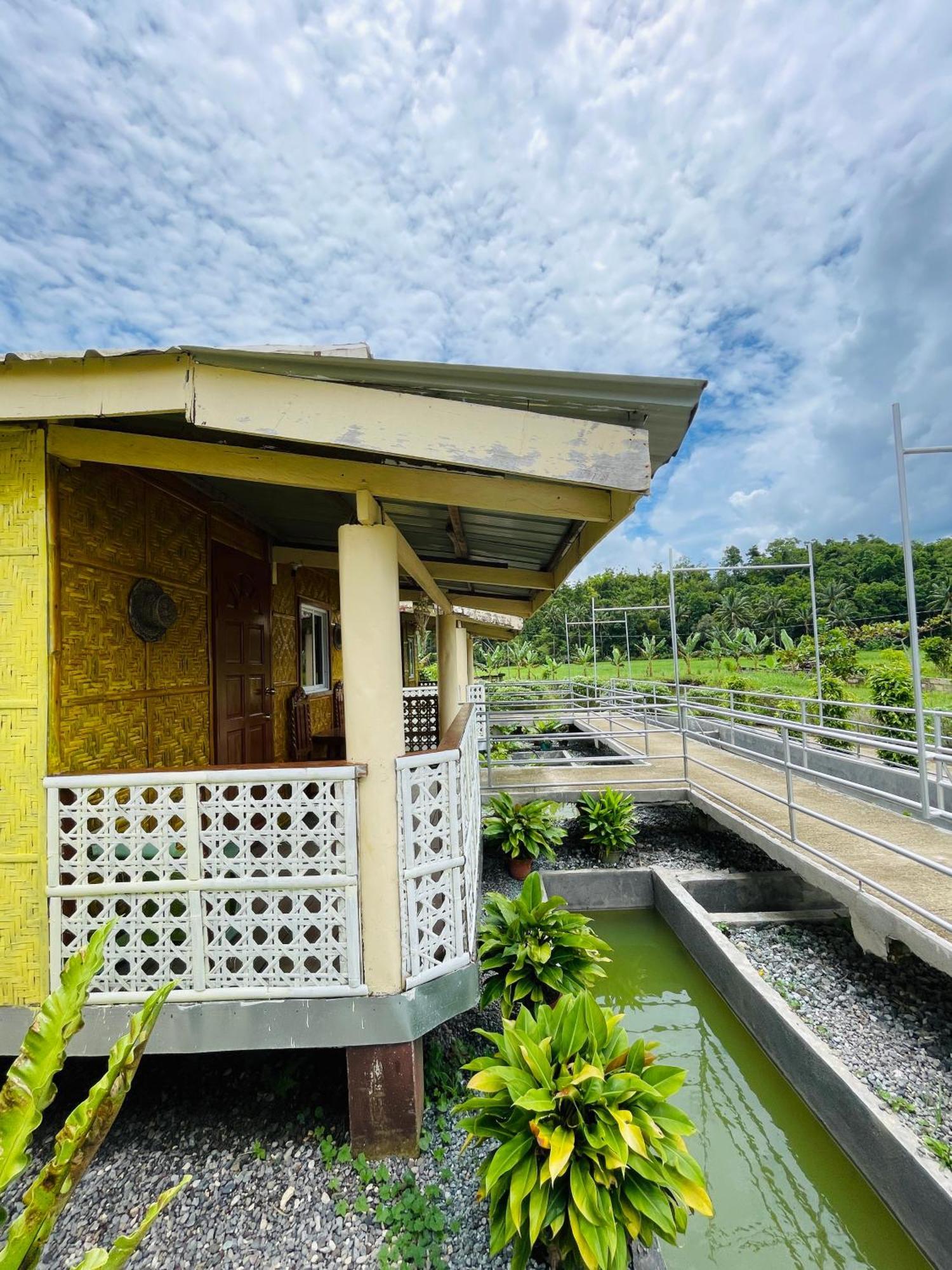 Jazz Ferme Inn Batuan Bohol Eksteriør billede