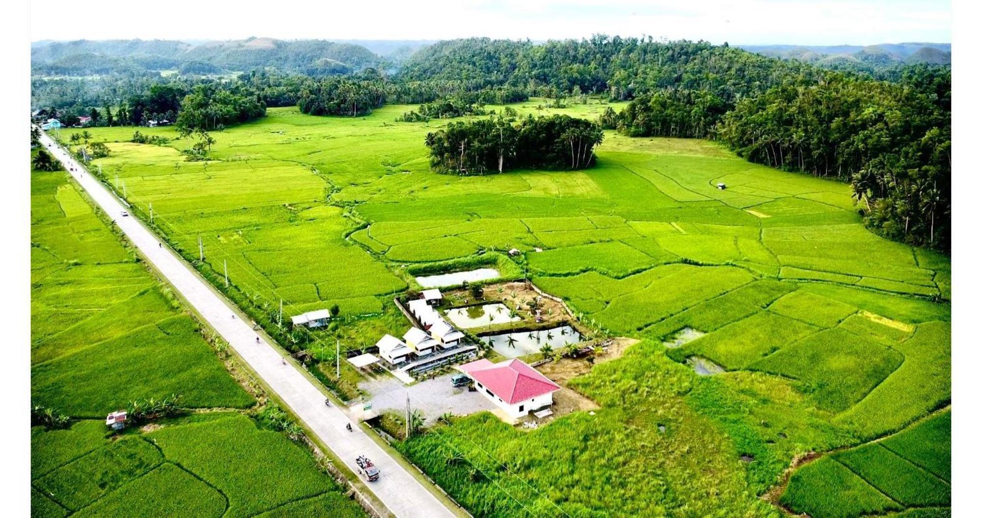 Jazz Ferme Inn Batuan Bohol Eksteriør billede