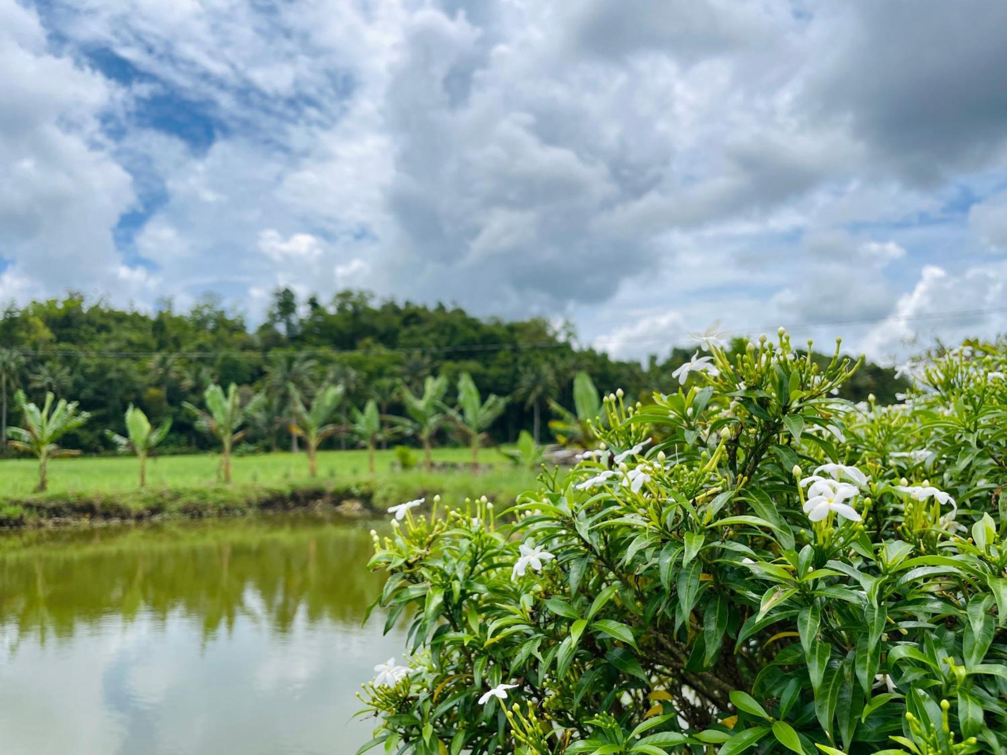 Jazz Ferme Inn Batuan Bohol Eksteriør billede