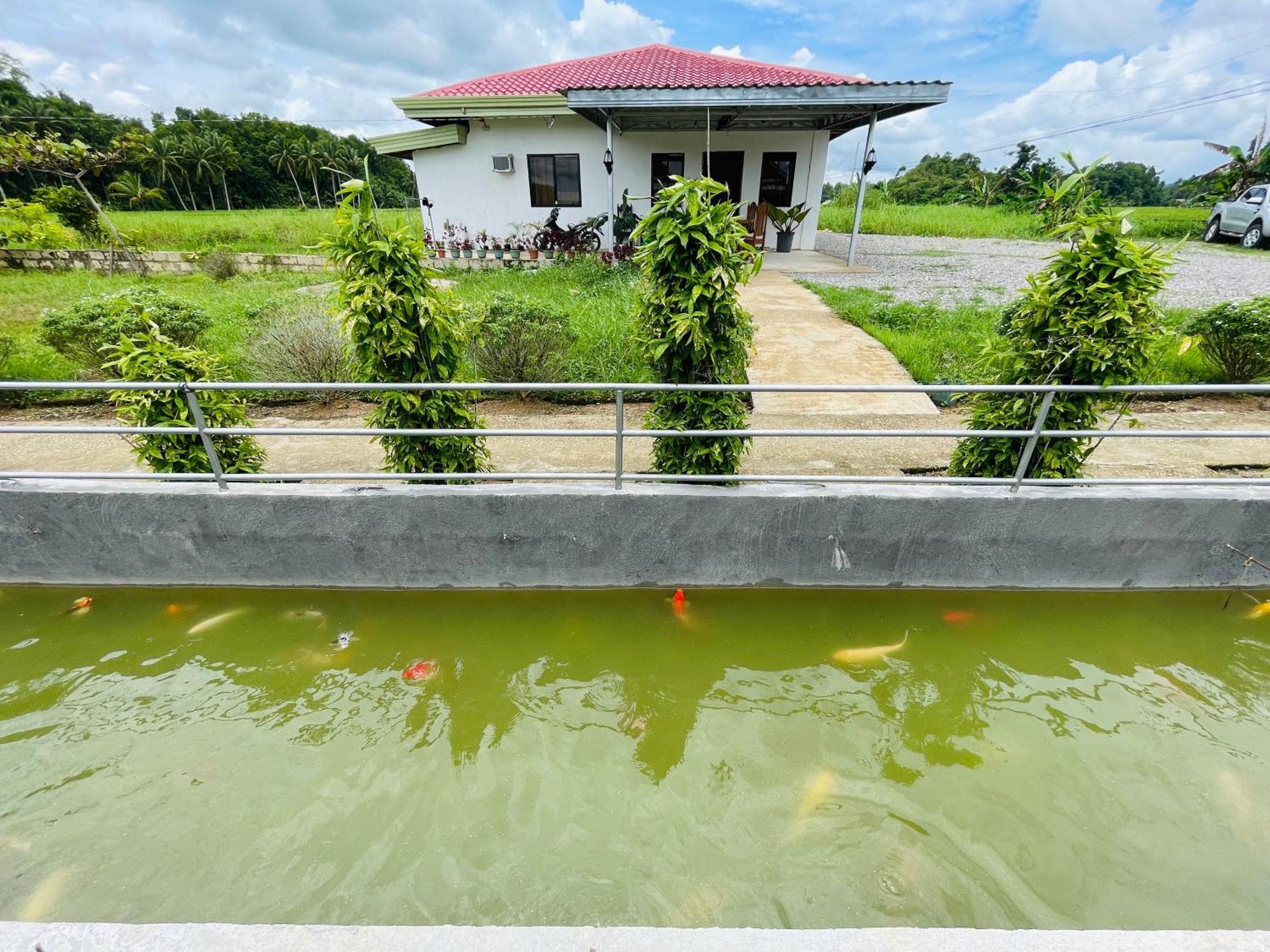 Jazz Ferme Inn Batuan Bohol Eksteriør billede