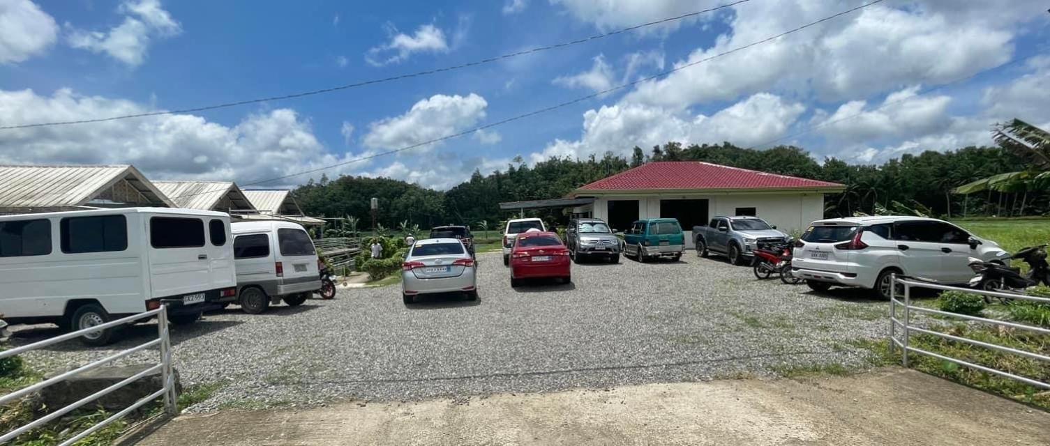 Jazz Ferme Inn Batuan Bohol Eksteriør billede