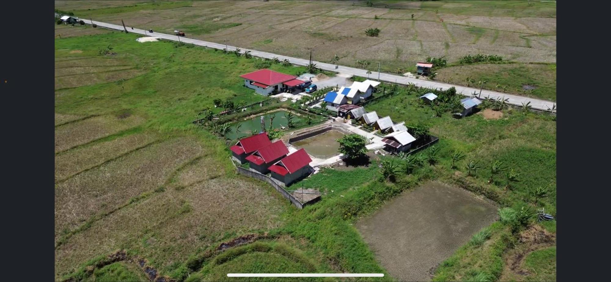 Jazz Ferme Inn Batuan Bohol Eksteriør billede
